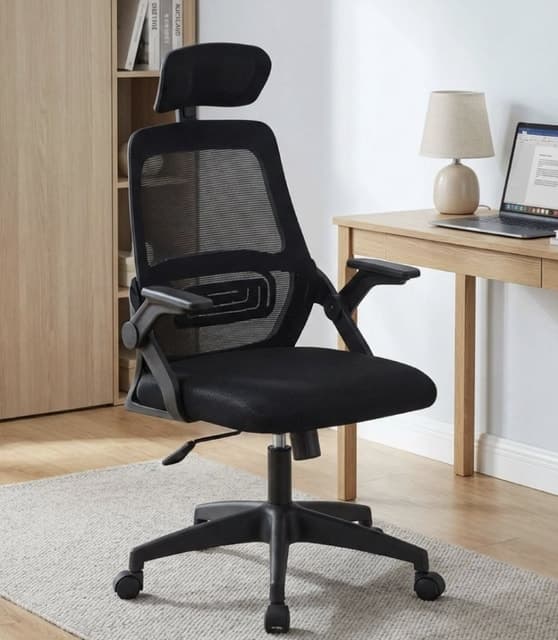 Mesh Ergonomic Office Chair Headrest Black — Home Office