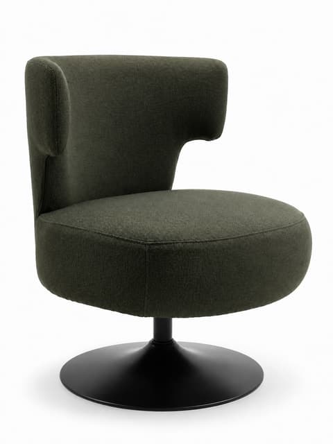 Contemporary Swivel Armchair — Living Room